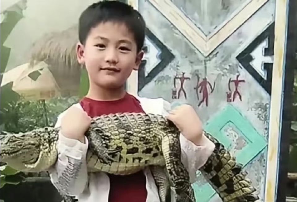  PG *✲ﾟ*｡⋆🐯🐮 tweet media