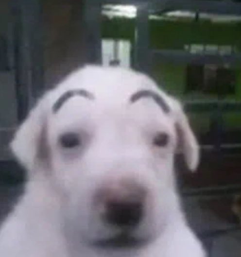 Dawid🥀 tweet media