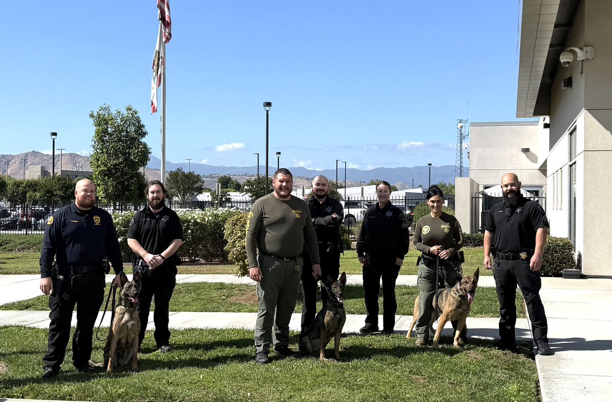 SBC Probation tweet media