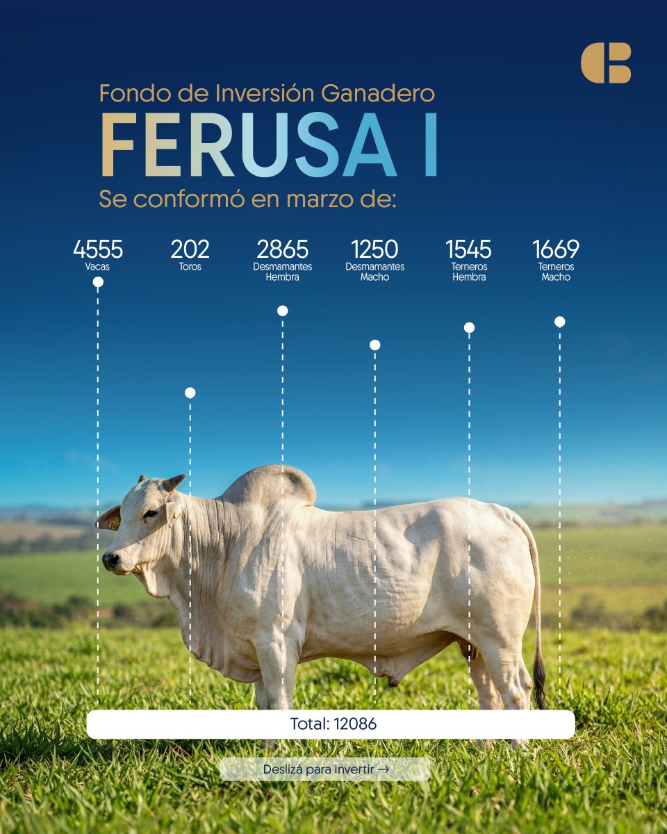 Basa Capital tweet media