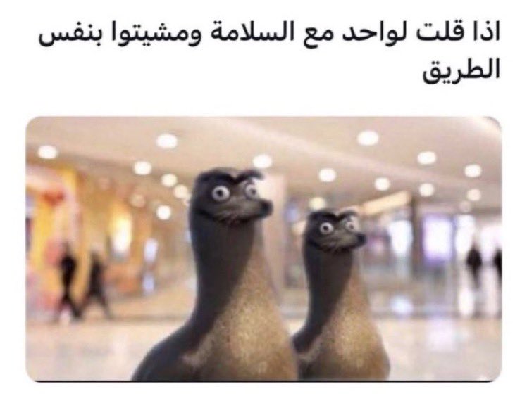 Abdulwahab tweet media