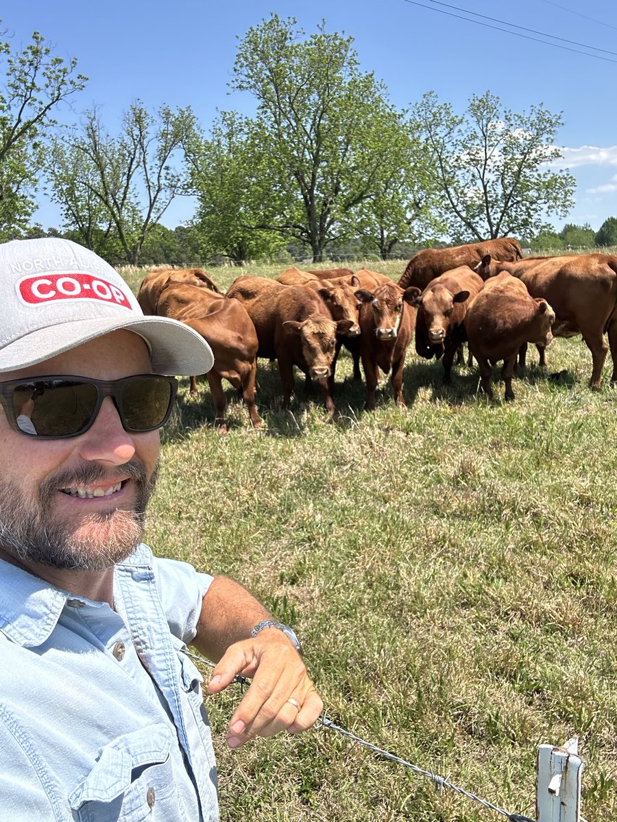 Jason Bartlett tweet media