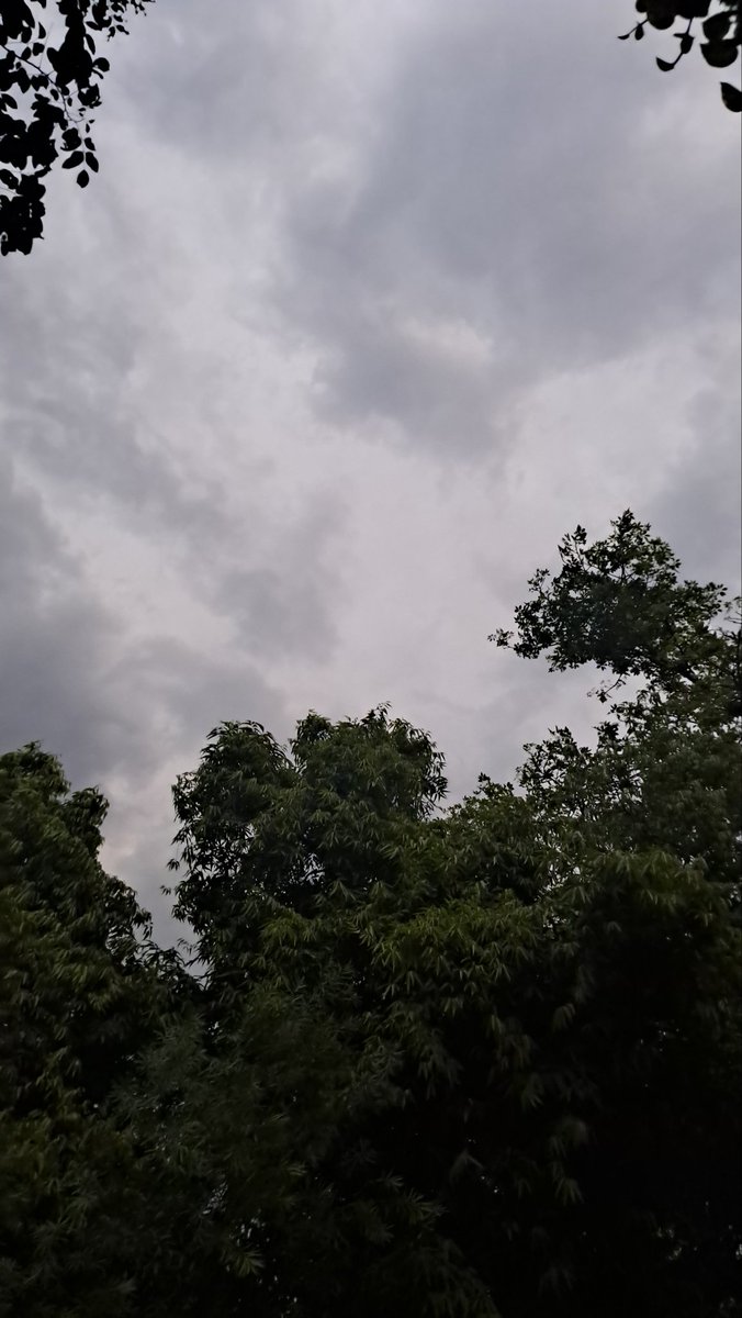 Usha Wildflower 🌱📚 🍀 tweet media