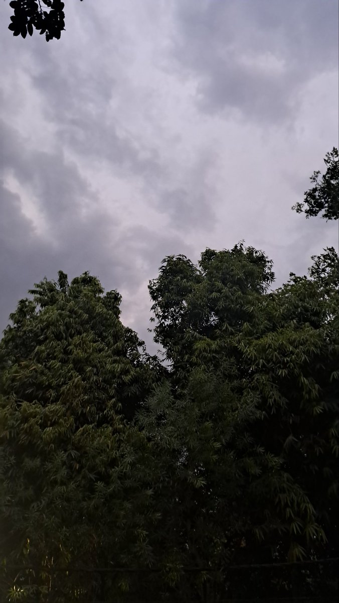 Usha Wildflower 🌱📚 🍀 tweet media