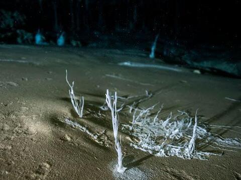 Azteca Noticias tweet media