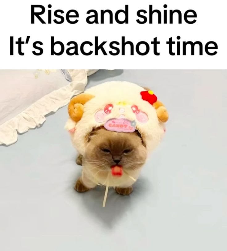 𝙳𝚎𝚊𝚝𝚑 𝚘𝚏 𝚃𝚑𝚎 𝙴𝚗𝚍𝚕𝚎𝚜𝚜 tweet media