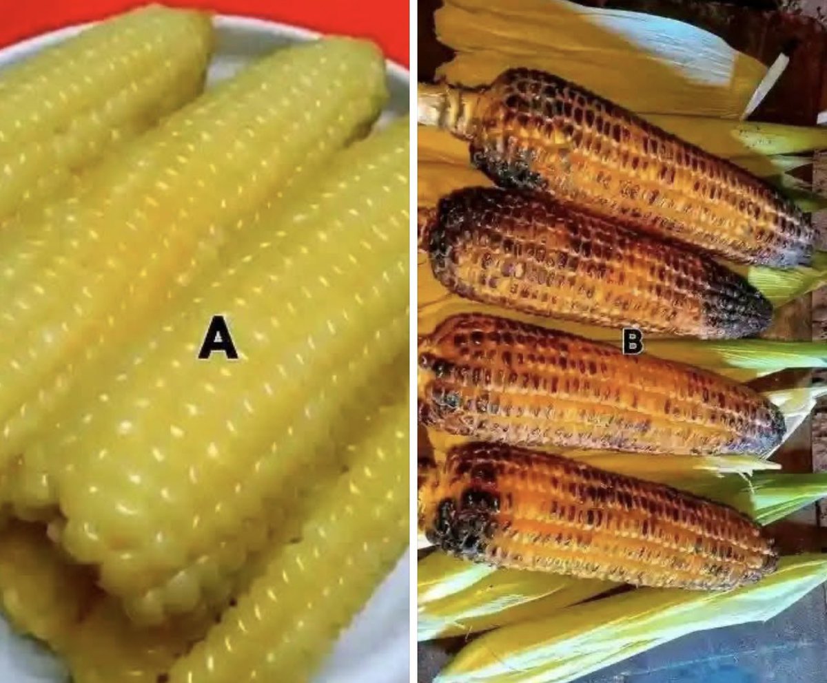 Eliane Dalla Valle tweet media