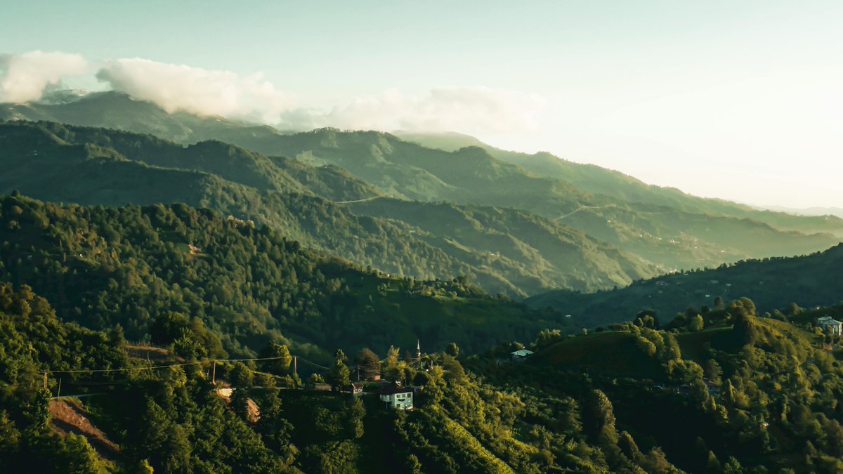 james bryan acain tweet media