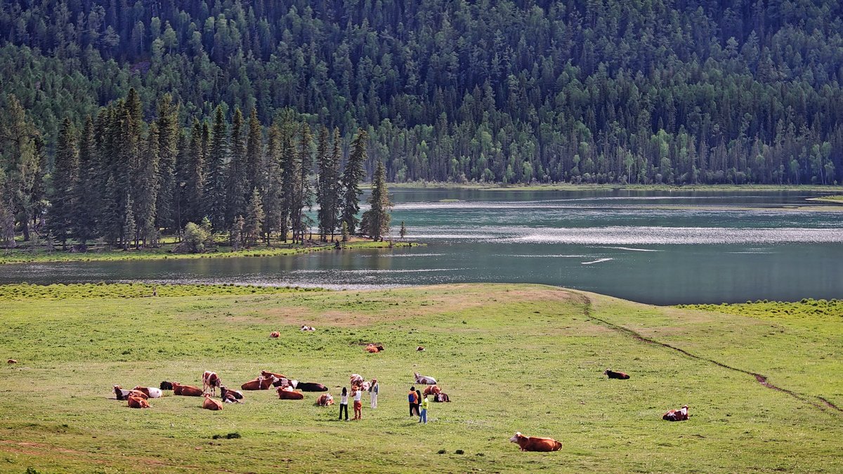 Edward Moore tweet media