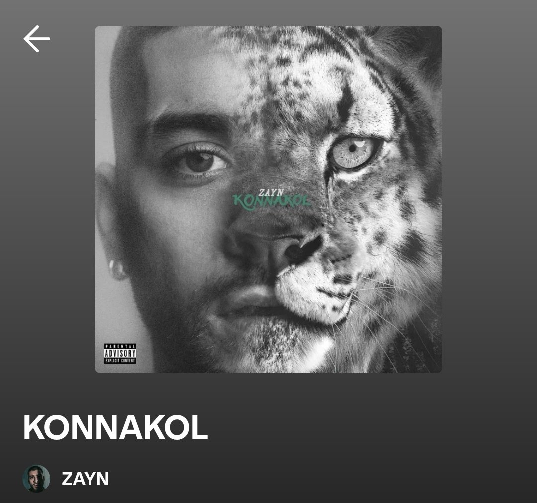 erre 𓃢 tweet media