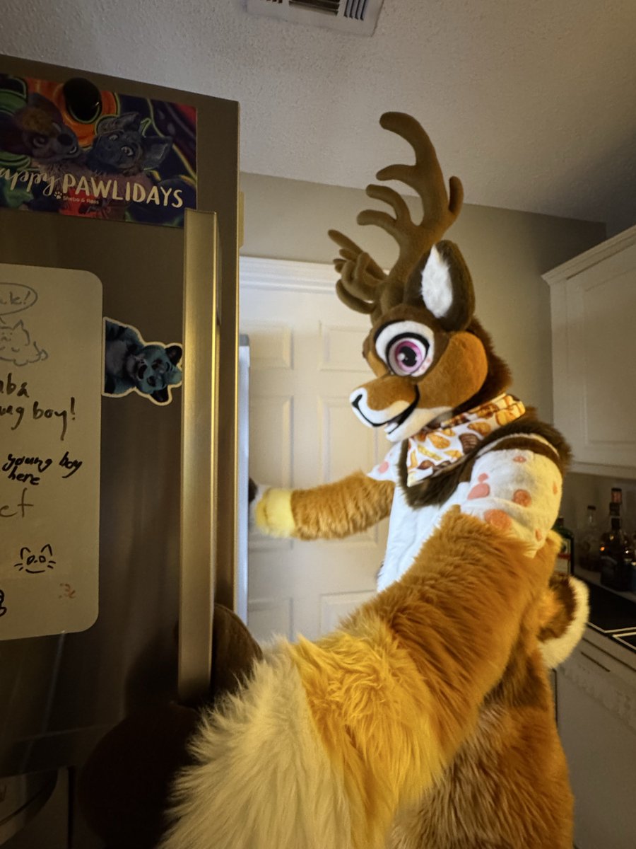 Recoil_Coyote tweet media