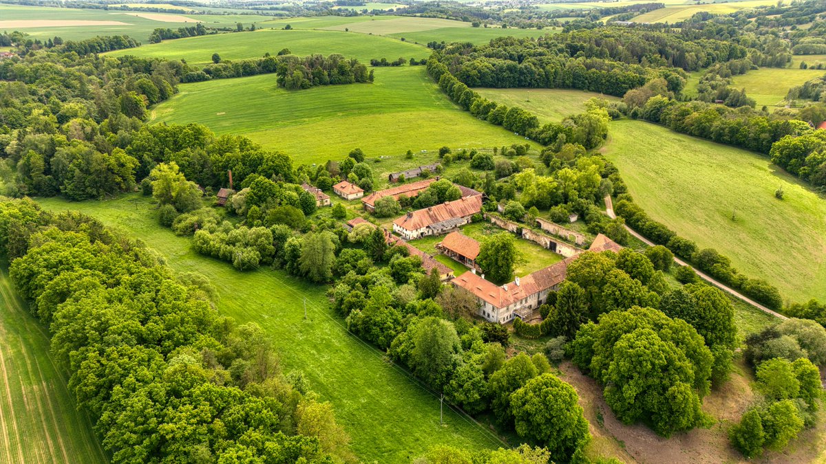 ahsan habib tweet media