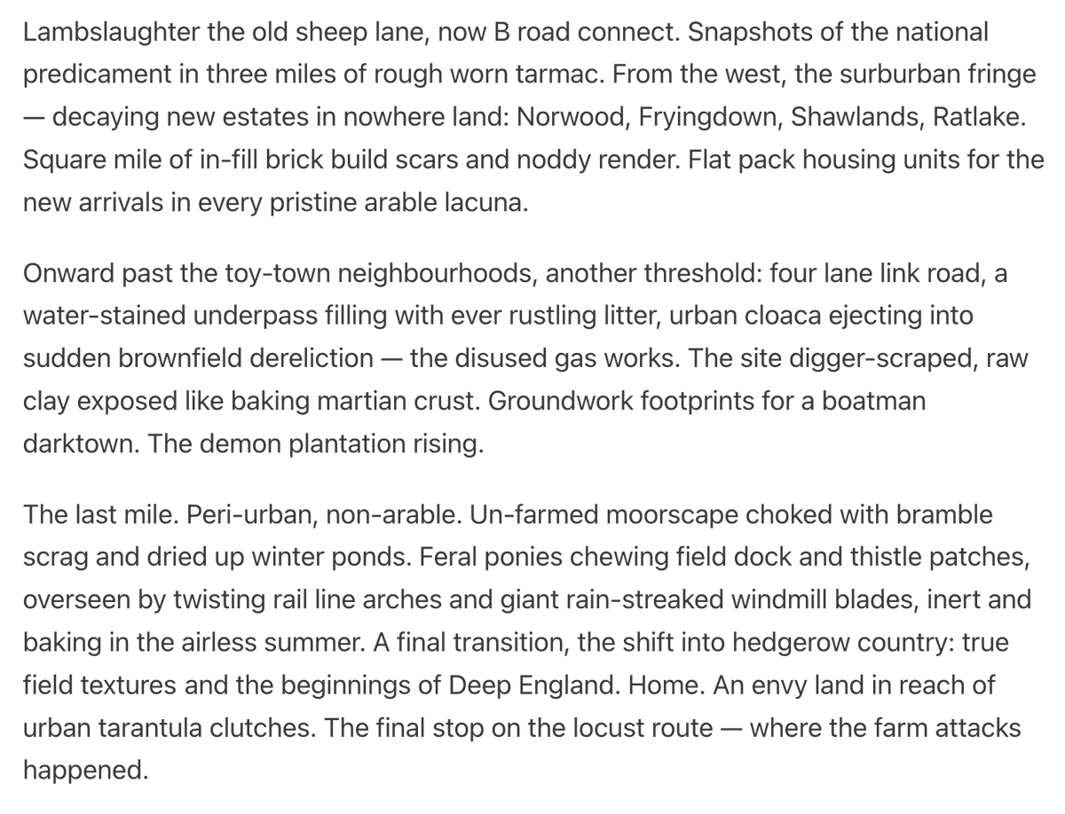 Metropolized Society tweet media