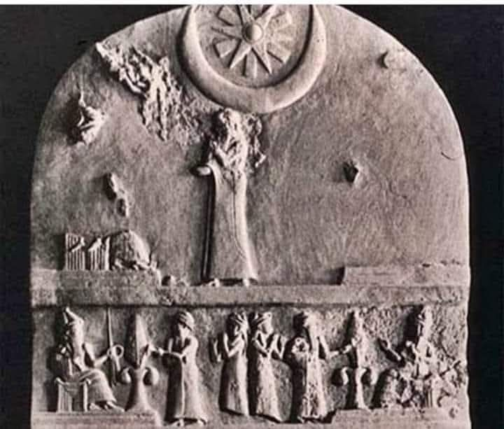 𝐸ş𝓇𝑒𝒻𝓅𝒶ş𝒶𝓁ı tweet media