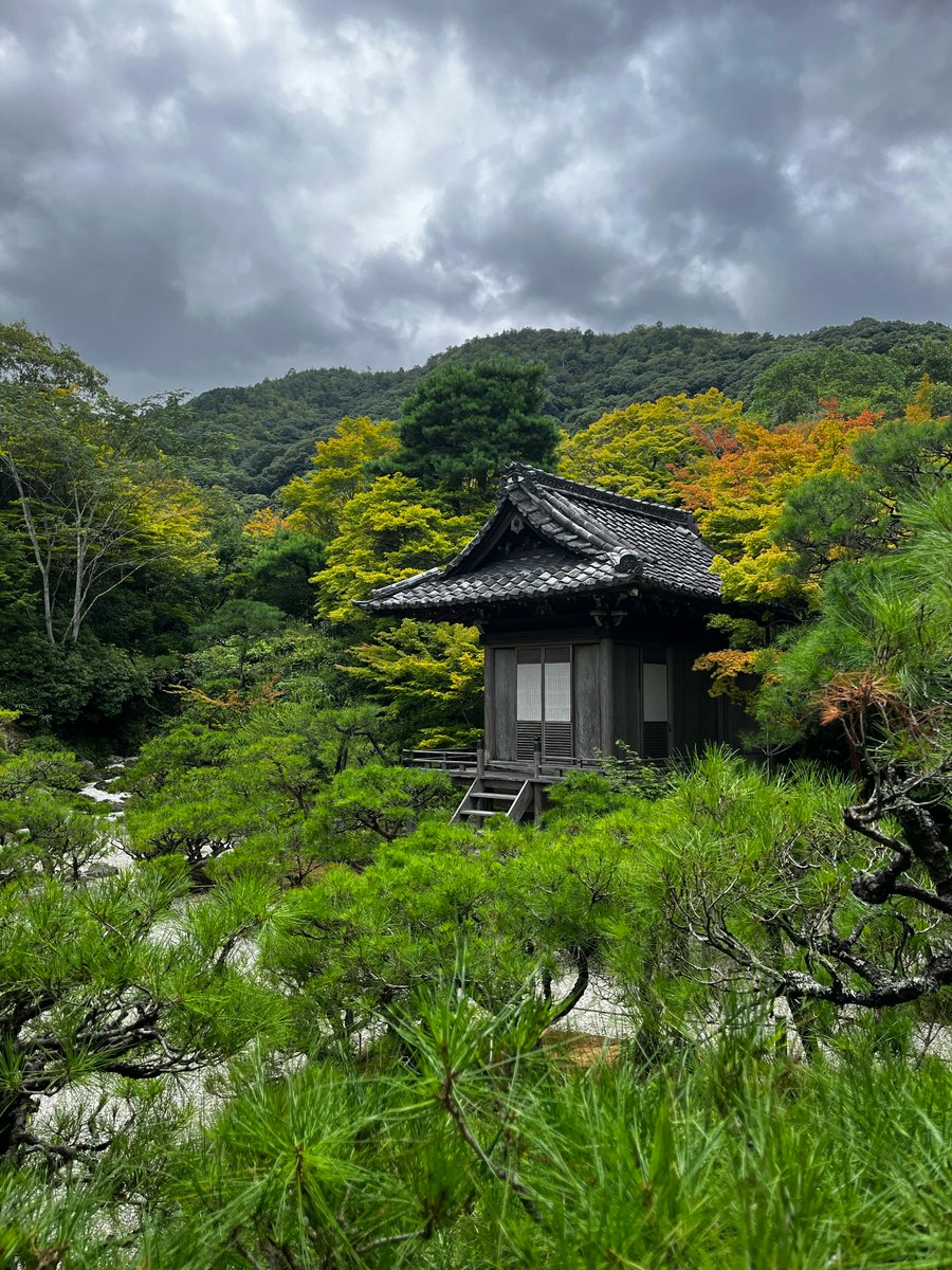 mdsafwan mdsafwan tweet media