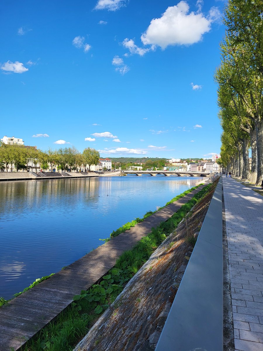 mk_khadira's tweet image. Un peu de soleil, et la bonne humeur est de retour.
#SpringFlowers 🌸