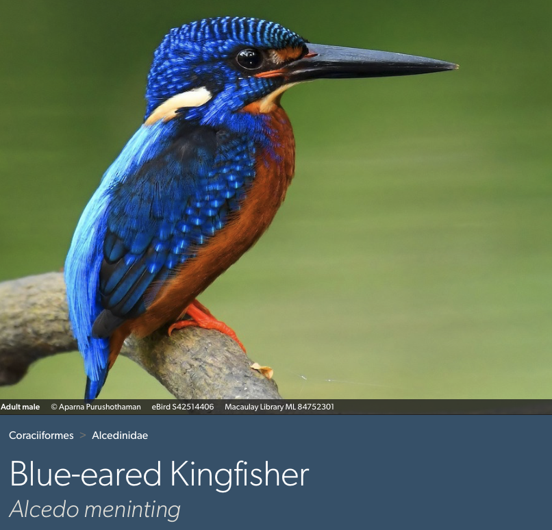 Dan Baldassarre tweet media