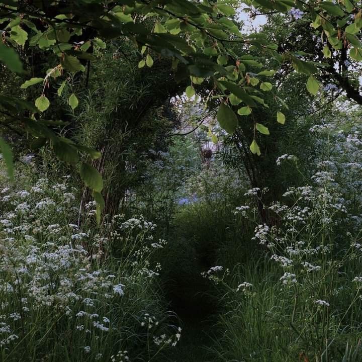 𝕰𝖑𝖊𝖒𝖒𝖎𝖗𝖊 tweet media