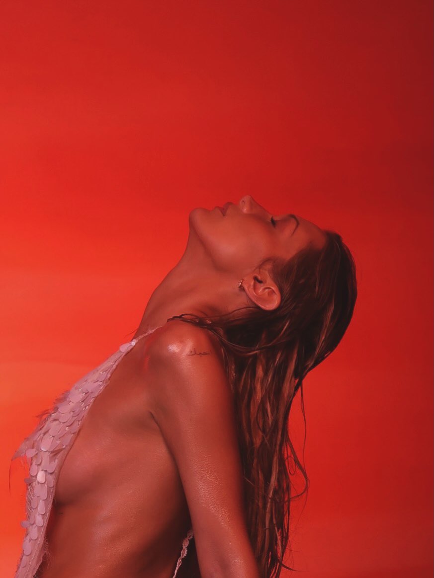 Portal Bella Hadid BR tweet media