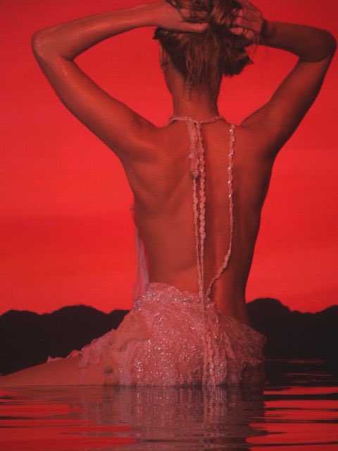 Portal Bella Hadid BR tweet media