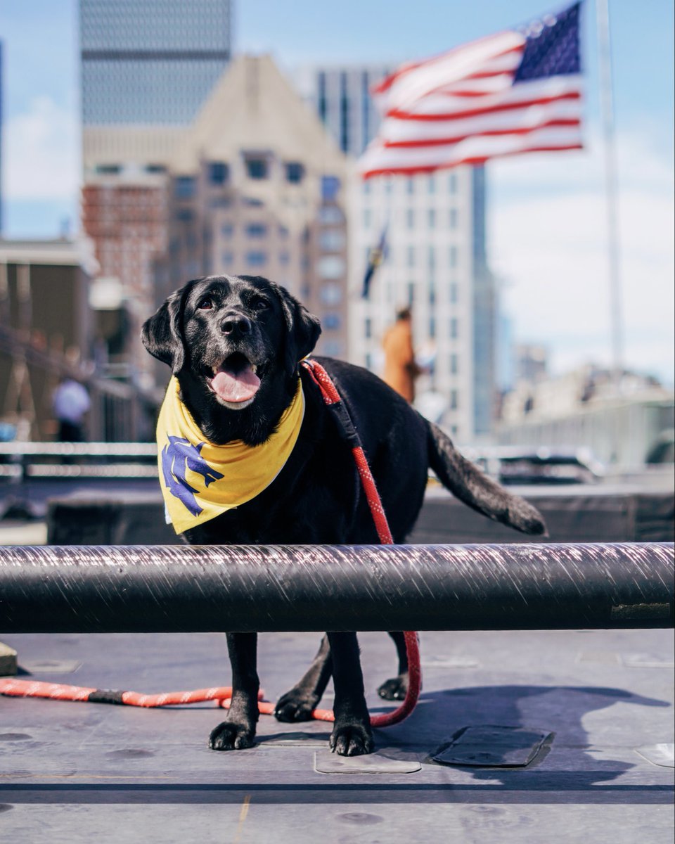bostonmarathon's tweet image. It’s beginning to look a lot like #Boston130… 🦄💙💛 #MeetTheMoment