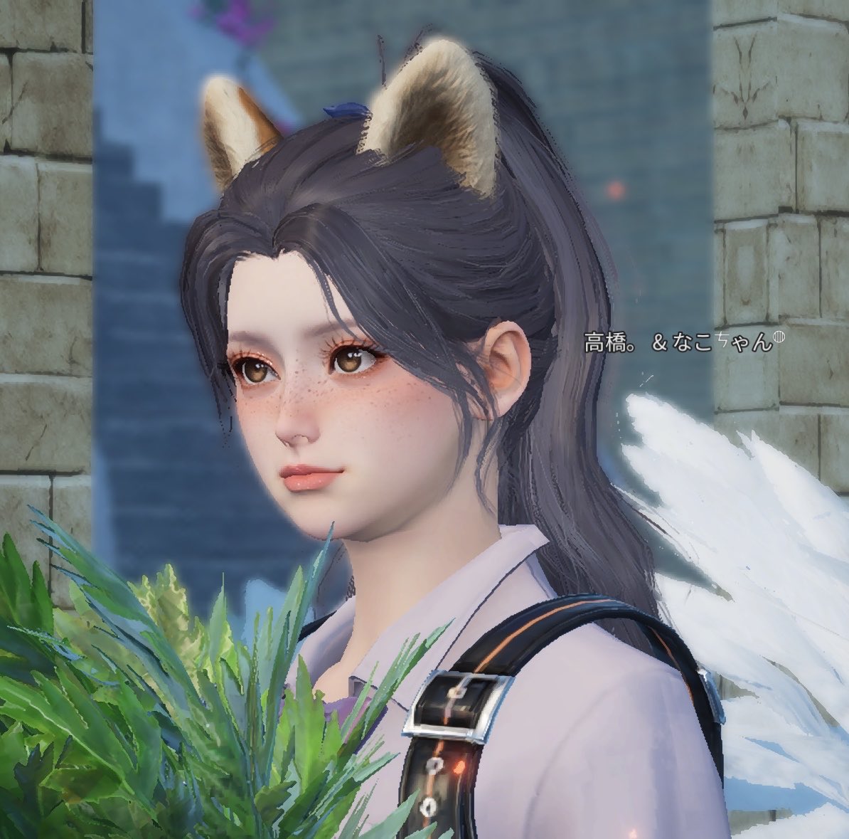 なこすけの中身。 tweet media