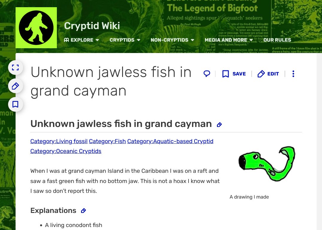 BrochJamm's tweet photo. I beleive in you, unknown jawless fish in grand cayman 🥺❤️ https://t.co/hYrt8L3Dr6