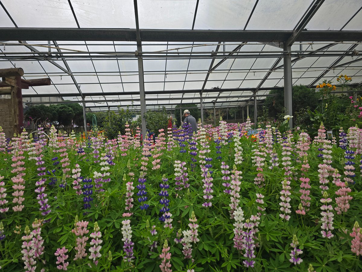 SandyLemon(slowly ) tweet media