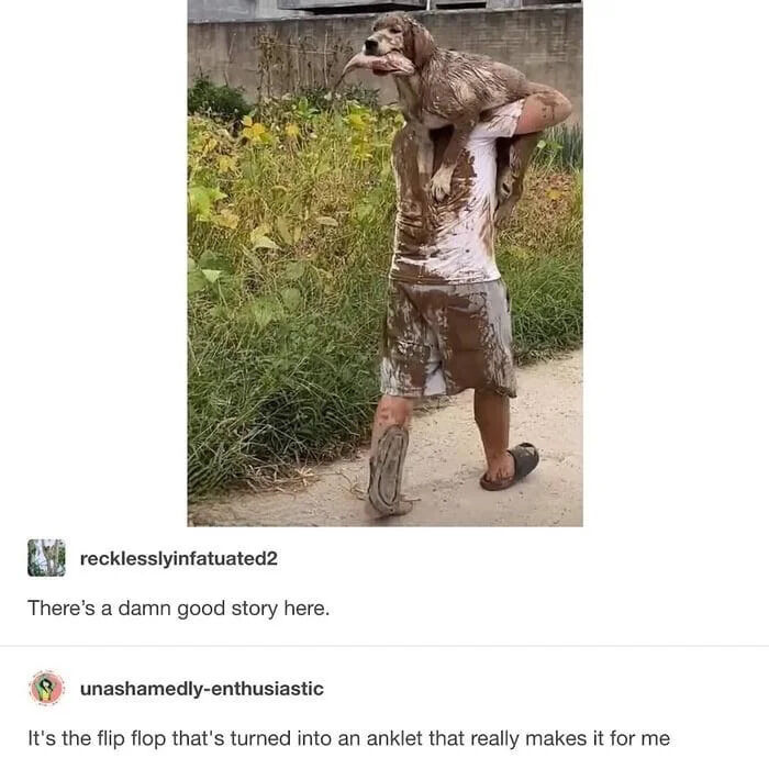 WholesomeMemes tweet media