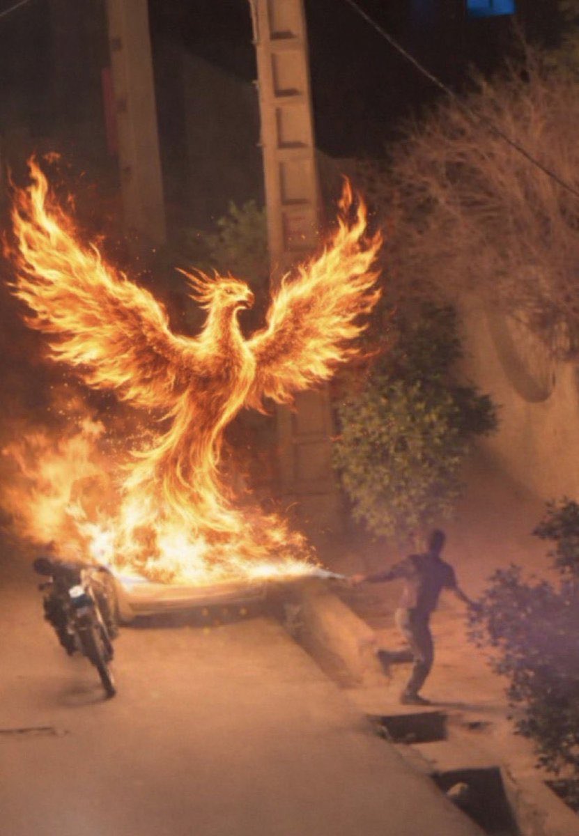 Marie🇮🇷 tweet media