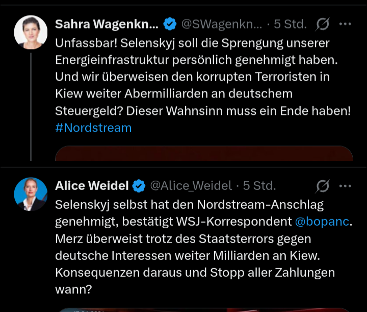 RT DEᴜᴛꜱᴄʜ Watch 🫐 tweet media