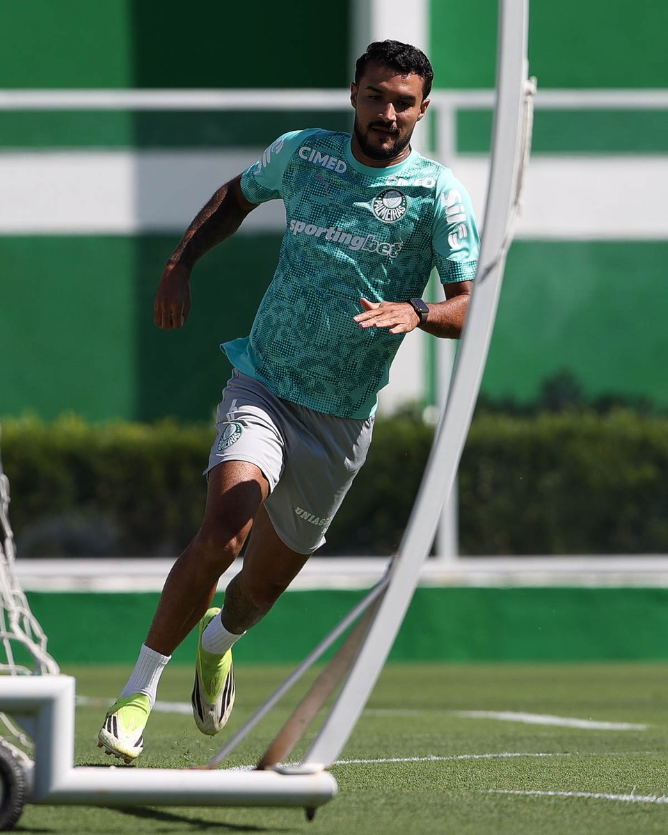 SE Palmeiras tweet media