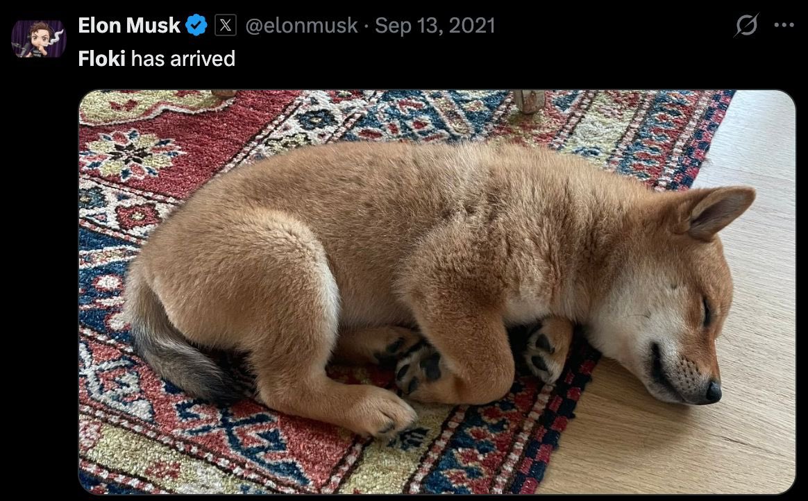 Şirin Baba tweet media