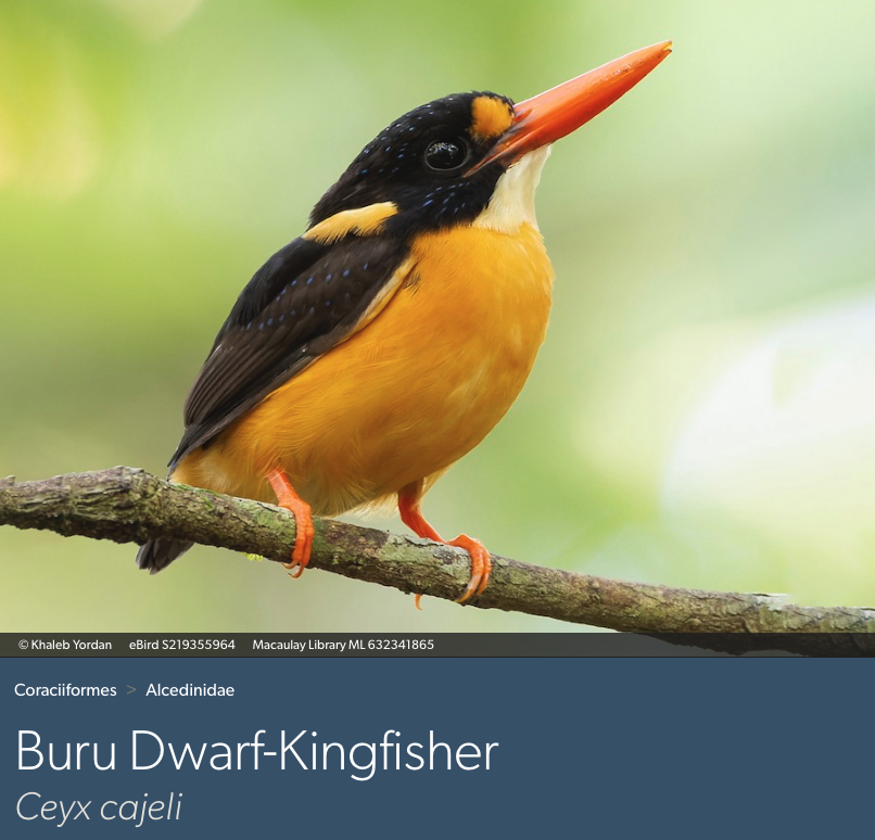 Dan Baldassarre tweet media