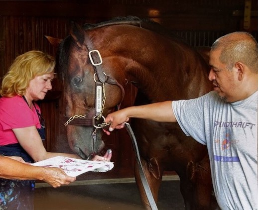AfterFinishLine's tweet photo. WICKED STRONG finished 4th in the #KENTUCKYDERBY #BELMONTSTAKES. He painted Moneighs to raise $$ for charity. Stallions are helping #OffTrackThoroughbreds & fans get incredible memorabilia. Pensioned fr stud duty, retired to owners farm. Earned $1.9M. Bid, https://t.co/rwU09reqKo https://t.co/YUlAspufYK