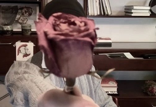 kurt‎ tweet media