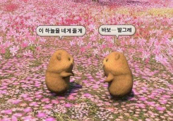 Rungversclub's tweet photo. 요새 룽윰 
왼쪽쥐돌이:동생 오른쪽쥐돌이:형 https://t.co/qwUQDl7YwX