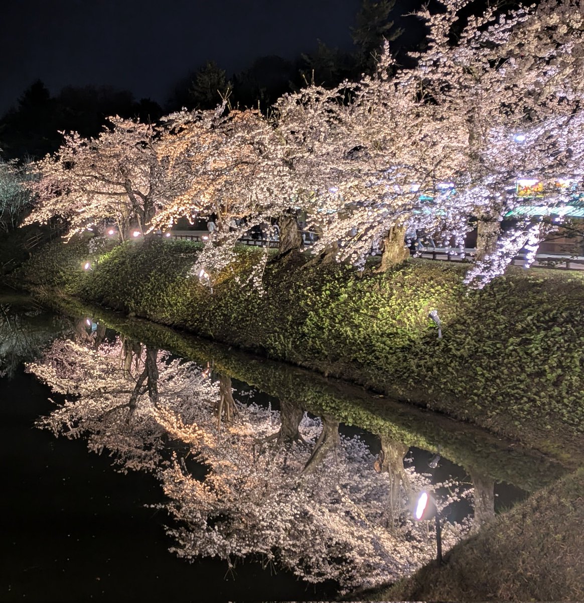 らぴす tweet media