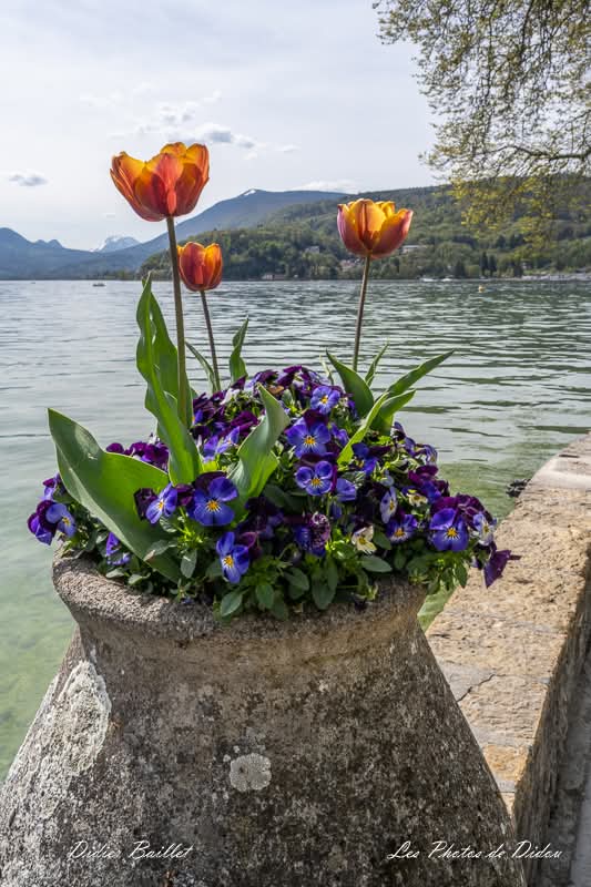 josiane MICHEL tweet media