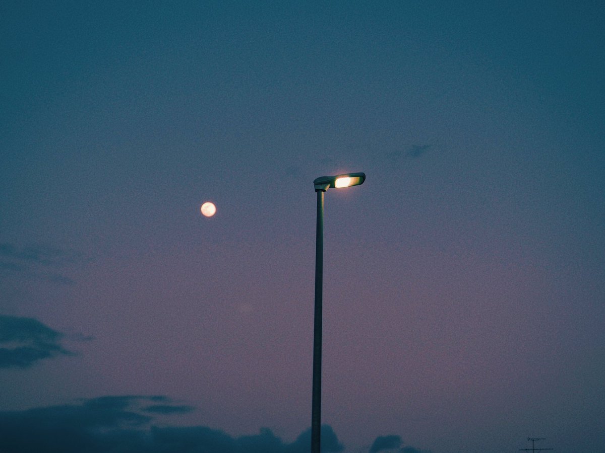 ᴍᴏᴏɴʟʏ tweet media