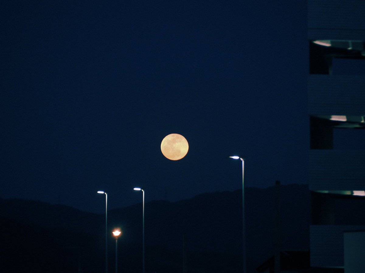 ᴍᴏᴏɴʟʏ tweet media