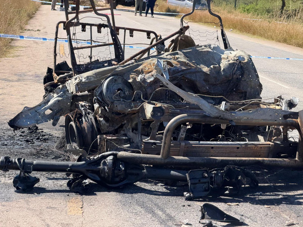 Dandaro Online tweet media