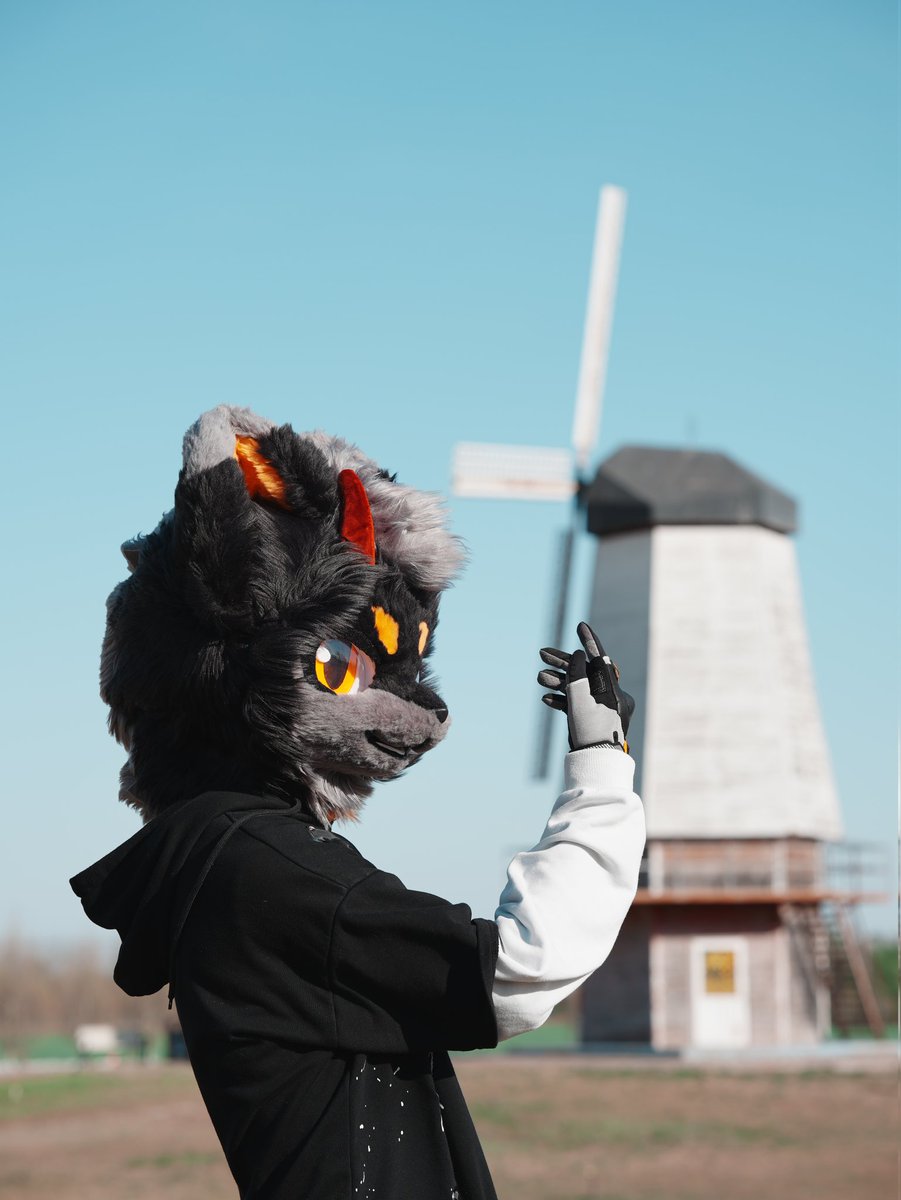 夜喵喵喵🔜绒兽 tweet media