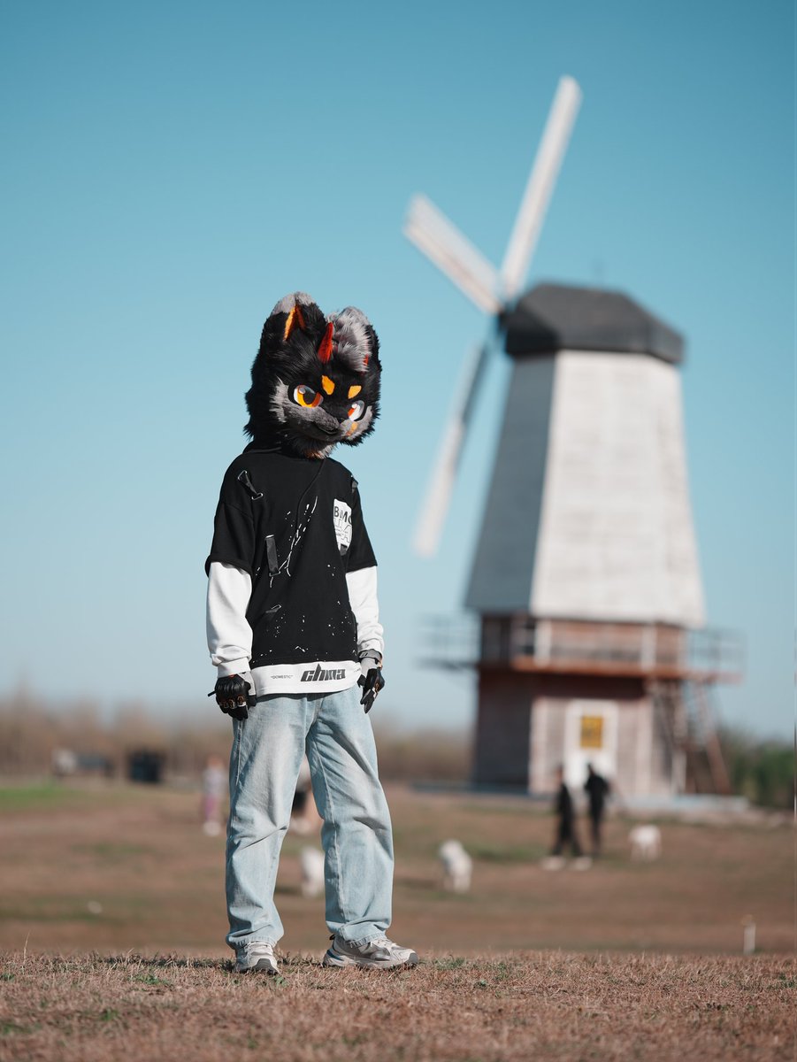 夜喵喵喵🔜绒兽 tweet media