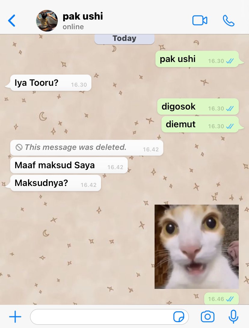 kira puding tweet media