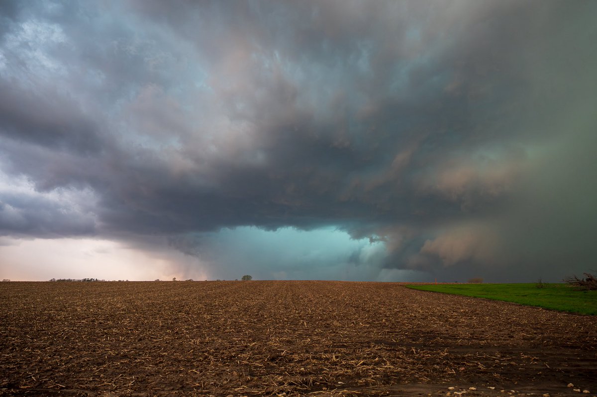 Billy Bowling  𝕏 tweet media