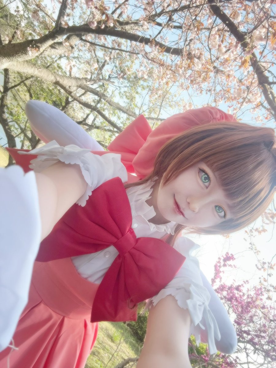 ねこてん🎭 tweet media