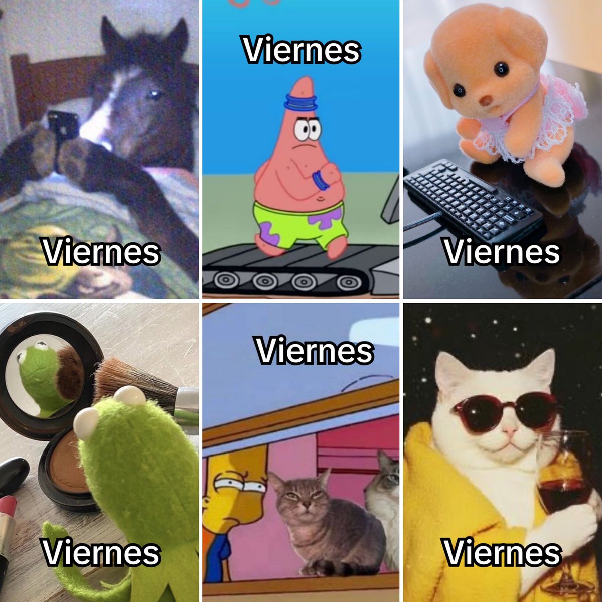 El Guarromántico tweet media