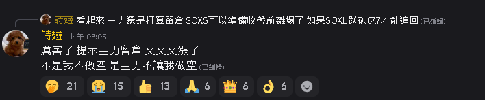 詩攳 股票日記 美股 投資 SOXL SOXS SPY QQQ TNA tweet media