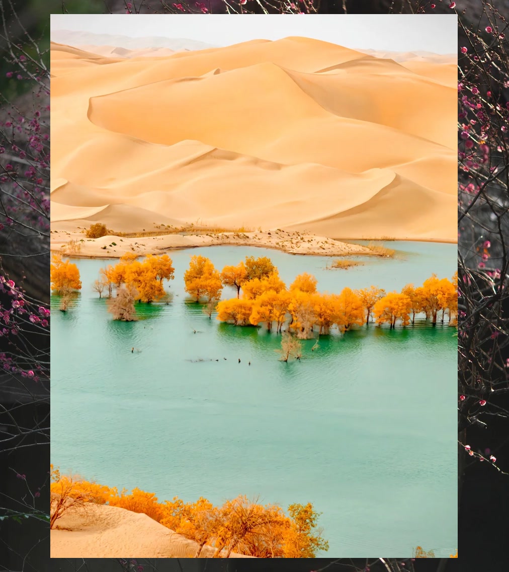 Ricky Fulce tweet media